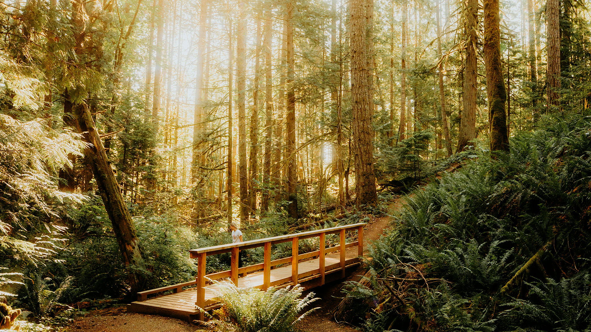 top-paysage-pont
